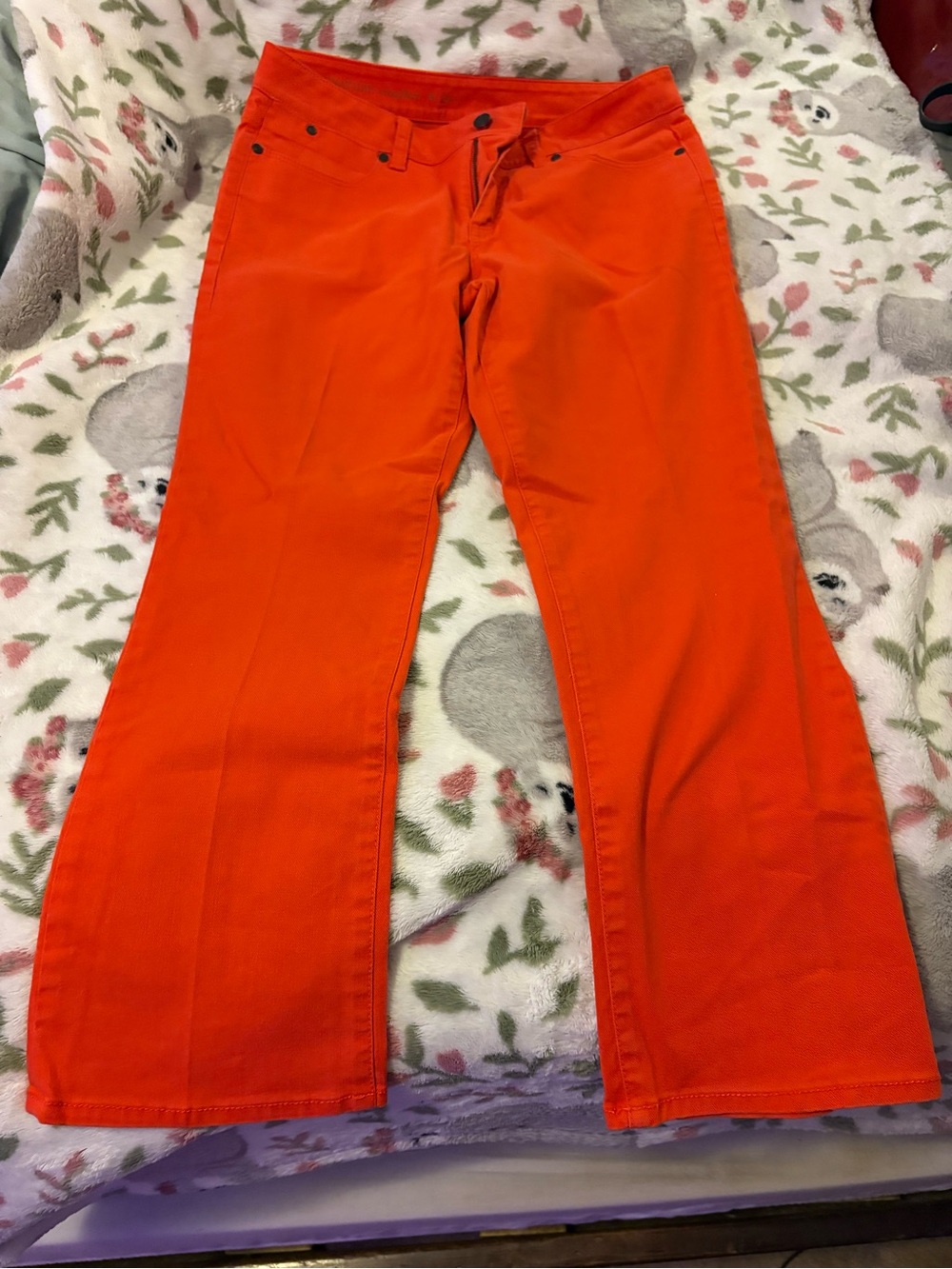 Bright Orange Capris